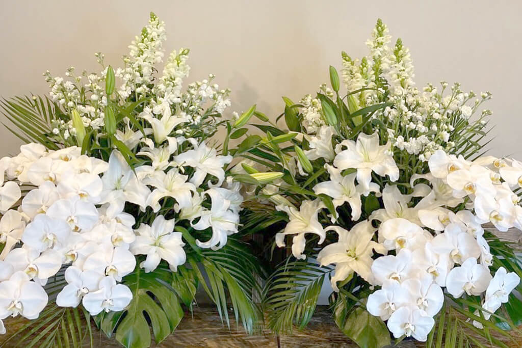 観葉植物、胡蝶蘭